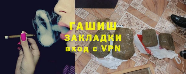 шишки Саяногорск