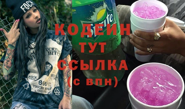шишки Саяногорск