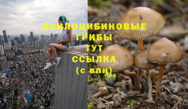 твердый Сафоново