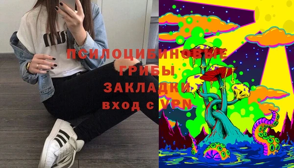 шишки Саяногорск
