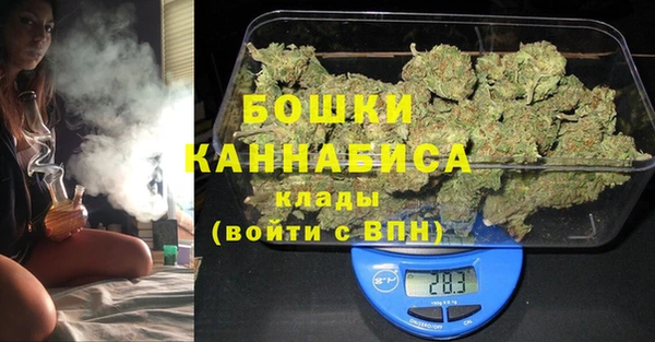 шишки Саяногорск