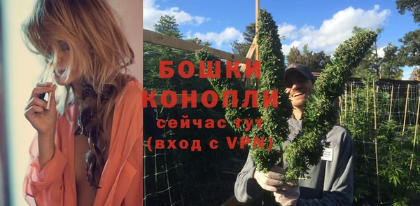 шишки Саяногорск