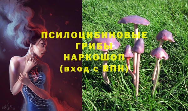 эйфоретик Сатка