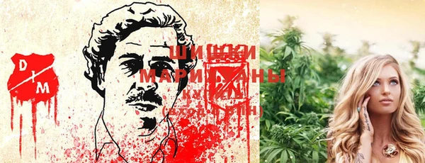 шишки Саяногорск