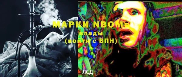 шишки Саяногорск