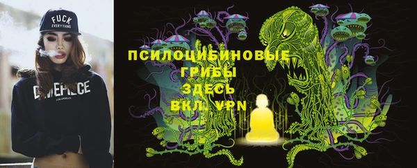 шишки Саяногорск