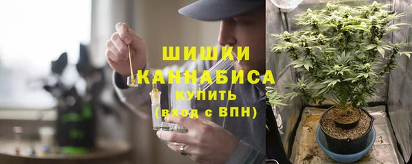 шишки Саяногорск