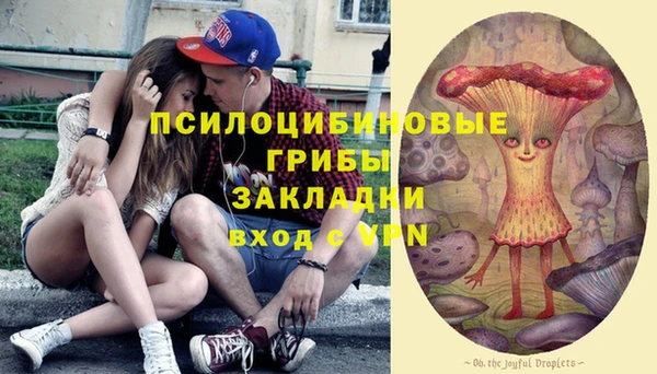 шишки Саяногорск