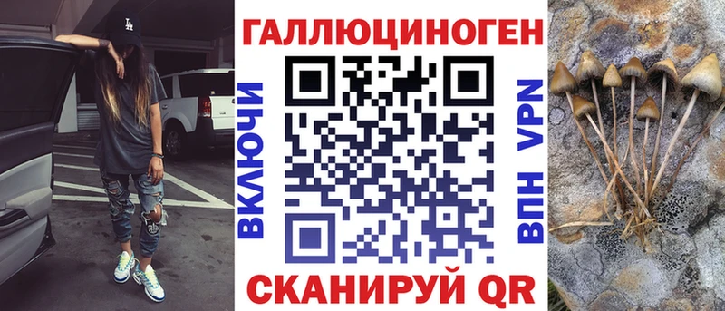 даркнет клад  Баксан  Псилоцибиновые грибы GOLDEN TEACHER 