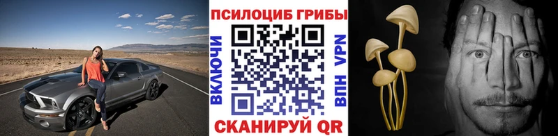 Галлюциногенные грибы MAGIC MUSHROOMS Баксан