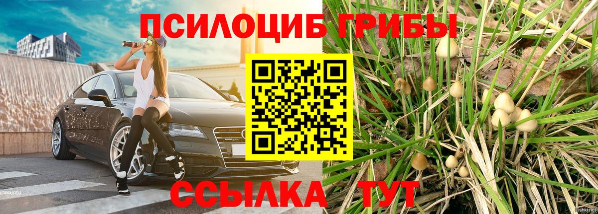 Галлюциногенные грибы Cubensis  Баксан 