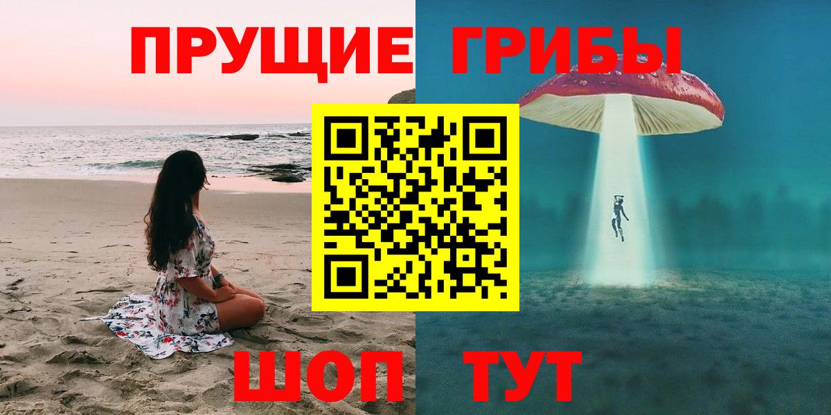 Галлюциногенные грибы MAGIC MUSHROOMS  Галлюциногенные грибы Cubensis  Баксан  Вход с VPN 