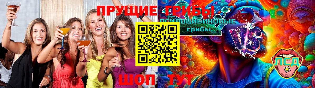 Псилоцибиновые грибы Psilocybine cubensis Баксан