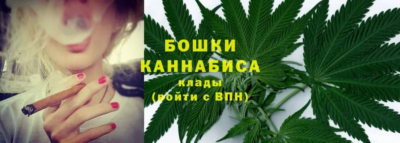 Конопля THC 21%  купить закладку  Баксан 