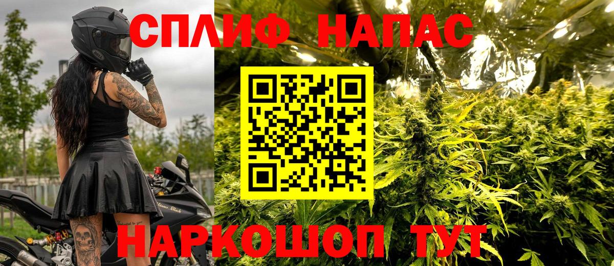 Шишки марихуана Amnesia Баксан